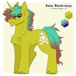 Size: 1000x1000 | Tagged: safe, artist:vampirix, derpibooru import, oc, oc:baneblackraven, pony, unicorn, image, male, pirate, png, reference sheet, solo, stallion