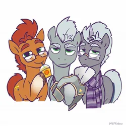 Size: 2048x2048 | Tagged: safe, artist:pfeffaroo, derpibooru import, oc, oc:scope, unofficial characters only, earth pony, pegasus, pony, unicorn, clothes, glasses, helemt, high res, image, jpeg, male, scarf, self paradox, self ponidox, simple background, solo, stallion, striped scarf, white background