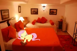 Size: 1024x681 | Tagged: safe, artist:jaredking779, artist:teiptr, derpibooru import, edit, fluttershy, pegasus, pony, bed, eyes closed, female, image, irl, jpeg, lying down, mare, marrakech, marrakesh, morocco, photo, pillow, ponies in real life, prone, sleeping, solo