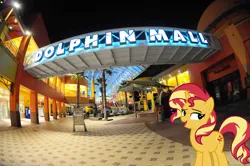 Size: 2048x1360 | Tagged: safe, artist:famousmari5, artist:jaredking779, derpibooru import, sunset shimmer, pony, unicorn, equestria girls, female, florida, image, irl, jpeg, mall, mare, photo, ponies in real life, solo, sweetwater