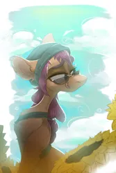 Size: 1080x1612 | Tagged: safe, artist:wacky-skiff, derpibooru import, sunny starscout, earth pony, pony, beanie, female, g5, glasses, hat, image, jpeg, mare, solo