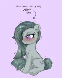 Size: 2840x3564 | Tagged: safe, artist:confetticakez, derpibooru import, marble pie, earth pony, pony, blushing, cute, female, hair over one eye, image, marblebetes, mare, motion lines, nervous, nervous sweat, png, purple background, shy, simple background, sitting, solo, sweat, text