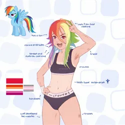 Size: 2048x2048 | Tagged: suggestive, artist:cryweas, derpibooru import, rainbow dash, human, pegasus, pony, alternate hairstyle, armpit hair, armpits, bandage, bandaid, belly button, bruised, clothes, demi girl, demi girl pride flag, eyebrow piercing, female, freckles, grin, humanized, image, jpeg, lesbian pride flag, mare, open mouth, piercing, pride, pride flag, reference sheet, scar, simple background, smiling, solo, solo female, sports bra, tan lines, tongue piercing, underwear, white background