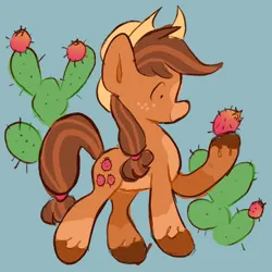 Size: 1024x1024 | Tagged: safe, artist:alexbeeza, derpibooru import, oc, oc:prickle pear, earth pony, pony, blue background, cactus, coat markings, cowboy hat, earth pony oc, female, freckles, fruit, hat, hoof hold, image, jpeg, looking at something, mare, prickly pear, simple background, socks (coat marking), solo, unshorn fetlocks