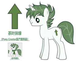 Size: 4482x3588 | Tagged: safe, artist:equestria secret guard, derpibooru import, oc, oc:tea green, unofficial characters only, pony, unicorn, pony creator, chinese text, horn, image, male, moon runes, png, simple background, solo, stallion, transparent background, unicorn oc, vector