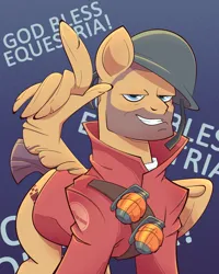 Size: 2000x2500 | Tagged: safe, artist:geatmos, derpibooru import, ponified, pegasus, pony, grenade, helmet, image, looking at you, male, png, soldier, solo, stallion, stubble, team fortress 2, text, wings