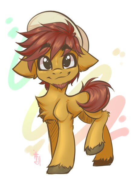 Size: 1200x1600 | Tagged: safe, artist:falafeljake, derpibooru import, oc, oc:comet thunder, unofficial characters only, earth pony, pony, abstract background, adorable face, chest fluff, commission, cute, earth pony oc, facial hair, hat, image, jpeg, looking at you, male, smiling, smiling at you, solo, standing