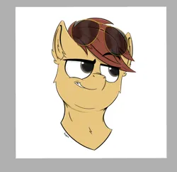 Size: 792x767 | Tagged: safe, artist:rapid9, derpibooru import, oc, oc:comet thunder, unofficial characters only, earth pony, pony, aviator sunglasses, bust, commission, grin, image, male, png, portrait, smiling, smug, solo, sunglasses, ych result