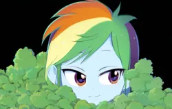 Size: 704x448 | Tagged: safe, derpibooru import, machine learning generated, rainbow dash, human, equestria girls, anime, black background, bush, female, hiding, image, pinegraph, png, simple background, solo