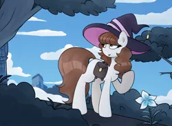 Size: 960x701 | Tagged: safe, artist:nathegar, derpibooru import, oc, unofficial characters only, earth pony, pony, bag, brown mane, brown tail, cloud, commission, earth pony oc, flower, hat, image, jpeg, saddle bag, tail, white coat, witch hat