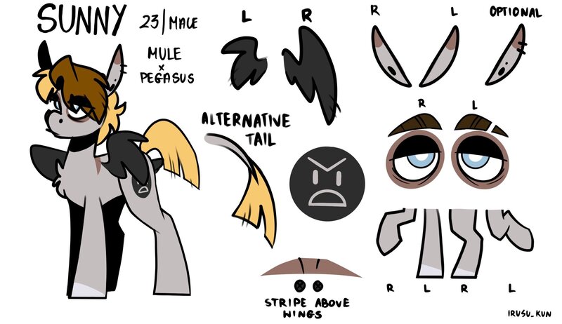 Size: 2048x1183 | Tagged: safe, artist:lrusu, derpibooru import, oc, unofficial characters only, hybrid, mule, pegasus, image, jpeg, reference sheet, solo