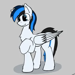 Size: 2500x2500 | Tagged: safe, artist:monycaalot, derpibooru import, oc, oc:waver, unofficial characters only, pegasus, pony, colored sketch, image, pegasus oc, png, solo, wings