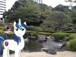 Size: 2048x1536 | Tagged: safe, artist:90sigma, artist:jaredking779, derpibooru import, shining armor, pony, unicorn, image, irl, japan, jpeg, looking at you, male, photo, ponies in real life, smiling, solo, stallion, tokyo