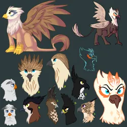 Size: 700x700 | Tagged: safe, artist:littlelime, oc, unnamed oc, unofficial characters only, gryphon, angry, beak, bust, design, designs, griffon oc, image, looking at you, multiple characters, one leg raised, open beak, open mouth, png, sitting, standing