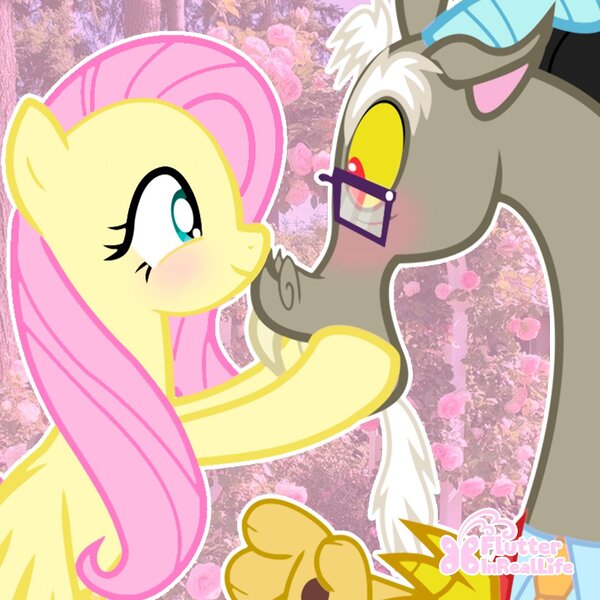 Size: 1080x1080 | Tagged: safe, artist:flutterinreall, derpibooru import, discord, fluttershy, butterfly, draconequus, insect, pegasus, pony, discordant harmony, abstract background, blushing, discoshy, duo, duo male and female, eye contact, female, flower, glasses, image, jpeg, looking at each other, looking at someone, male, mare, outline, shipping, show accurate, simple background, spread wings, straight, white background, white outline, wings