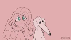 Size: 1280x720 | Tagged: safe, artist:jewellier, derpibooru import, fluttershy, dog, pegasus, pony, borzoi, bust, cute, didn't i do it for you, image, partial color, png, portrait, simple background, video at source, worried