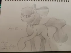 Size: 1032x774 | Tagged: safe, artist:sasho1223, derpibooru import, apple bloom, earth pony, pony, female, filly, foal, image, jpeg, notebook, photo, solo, traditional art