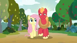 Size: 1920x1080 | Tagged: safe, derpibooru import, edit, edited screencap, screencap, big macintosh, fluttershy, earth pony, pegasus, pony, the perfect pear, apple, apple tree, character swap, duo, female, fluttermac, food, height difference, image, looking at each other, looking at someone, male, mare, pear tree, png, shipping, smiling, smiling at each other, stallion, straight, summer, tree, walking