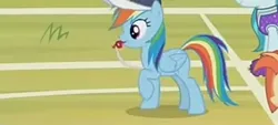 Size: 2400x1080 | Tagged: safe, derpibooru import, screencap, lighthoof, rainbow dash, shimmy shake, earth pony, pegasus, pony, 2 4 6 greaaat, blowing whistle, coach rainbow dash, coaching cap, cropped, cute, dashabetes, female, female focus, image, jpeg, mare, puffy cheeks, rainblow dash, rainbow dashs coaching whistle, raised hoof, scrunchy face, solo focus, that pony sure does love whistles, whistle, whistle necklace, young mare