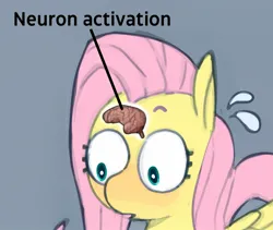 Size: 1298x1097 | Tagged: safe, artist:coffeetoffeeart, color edit, derpibooru import, edit, fluttershy, pegasus, pony, blushing, brain, colored, cropped, explicit source, female, image, jpeg, mare, meme, neuron activation, organs, simple background, solo, sweat, sweatdrop, text