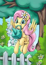 Size: 955x1351 | Tagged: safe, artist:mysticalpha, derpibooru import, fluttershy, pony, cute, image, jpeg, mouth hold, shyabetes, solo, watering can
