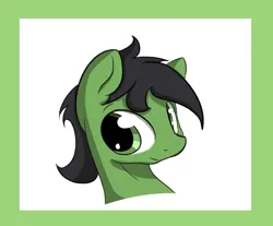 Size: 1208x1000 | Tagged: safe, artist:ricy, derpibooru import, oc, oc:anon stallion, earth pony, pony, bust, earth pony oc, image, looking at you, png, portrait, simple background, simple shading, smiling