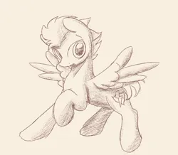 Size: 627x546 | Tagged: safe, artist:ricy, derpibooru import, flash sentry, pegasus, pony, cutie mark, flying, image, looking at you, male, monochrome, png, sketch, spread wings, stallion, wings