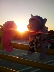 Size: 1200x1600 | Tagged: safe, artist:onlyfactory, derpibooru import, fluttershy, twilight sparkle, alicorn, pegasus, pony, bootleg, cowprint, crepuscular rays, duo, image, irl, parking lot, photo, plushie, png, sunset