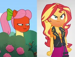 Size: 1440x1080 | Tagged: safe, derpibooru import, edit, edited screencap, screencap, posey (g5), sunset shimmer, earth pony, human, pony, equestria girls, equestria girls series, my little pony: tell your tale, rollercoaster of friendship, spoiler:g5, spoiler:my little pony: tell your tale, spoiler:tyts01e44, angry, comparison, g5, image, jpeg, red face, secret ad-mare-er