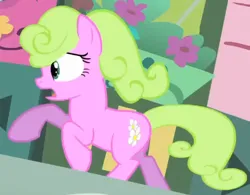 Size: 443x345 | Tagged: safe, derpibooru import, screencap, earth pony, pony, bridle gossip, season 1, animation error, background pony, cropped, female, flower shop, galloping, image, mare, panicking, png, running, solo, solo female, solo focus