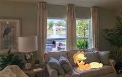 Size: 2048x1292 | Tagged: safe, artist:emper24, artist:jaredking779, derpibooru import, edit, applejack, earth pony, pony, couch, cowboy hat, female, florida, hat, image, irl, jacksonville, jpeg, lying down, mare, photo, pillow, ponies in real life, prone, raised hoof, solo, stetson