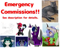 Size: 2048x1671 | Tagged: safe, artist:melodytheartpony, derpibooru import, oc, pony, advertisement, commission info, commissions open, emergency, furry, image, irl, irl cat, paypal, photo, png, vet bills