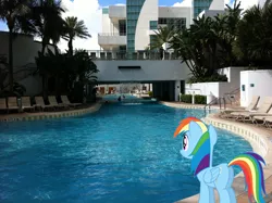 Size: 2048x1530 | Tagged: safe, artist:dashiesparkle, artist:jaredking779, derpibooru import, rainbow dash, pegasus, pony, butt, female, florida, hollywood, image, irl, jpeg, mare, photo, plot, ponies in real life, smiling, solo, swimming pool, water