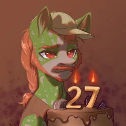 Size: 594x594 | Tagged: safe, artist:helemaranth, derpibooru import, oc, oc:well geboren, dog, dog pony, earth pony, original species, pony, bewildered, birthday, brow raised, cake, clothes, cookie, food, hair tie, hat, image, oreo, png, solo, vest