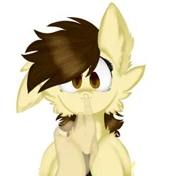 Size: 1054x1041 | Tagged: safe, artist:4agonism, derpibooru import, oc, oc:a.w.k., oc:anon, unofficial characters only, earth pony, human, :<, boop, cheek fluff, chest fluff, cross-eyed, cute, disembodied hand, duo, ear fluff, earth pony oc, floppy ears, hand, image, male, ocbetes, offscreen character, offscreen human, offscreen male, one ear down, png, raised hoof, raised hooves, simple background, white background