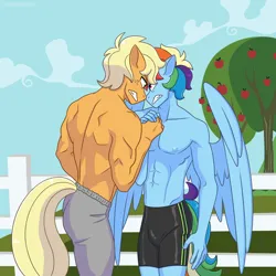 Size: 2048x2048 | Tagged: safe, artist:shallowwin, derpibooru import, applejack, rainbow dash, anthro, earth pony, pegasus, pony, abs, appledash, applejack (male), background, canon, clothes, competition, female, field, gay, image, male, male nipples, muscles, nipples, nudity, pants, pecs, png, rainbow blitz, rule 63, shipping, stallion, tight clothing, tights, wings