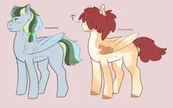 Size: 1280x799 | Tagged: safe, artist:ponymaws, derpibooru import, oc, unofficial characters only, pegasus, pony, body freckles, coat markings, duo, facial scar, freckles, hair over eyes, half-siblings, image, nose scar, offspring, parent:big macintosh, parent:fluttershy, parent:rainbow dash, parents:fluttermac, parents:rainbowmac, png, red background, scar, simple background, wing freckles, wings