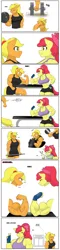 Size: 1280x5297 | Tagged: safe, artist:matchstickman, derpibooru import, apple bloom, applejack, anthro, earth pony, pony, abs, apple bloom's bow, apple brawn, apple sisters, applejacked, barbell, bicep flex, biceps, bow, breasts, busty apple bloom, busty applejack, clothes, comic, comparison, deltoids, dialogue, dumbbell (object), duo, female, fingerless gloves, flexing, gloves, gritted teeth, hair bow, image, jpeg, mare, matchstickman's apple brawn series, muscles, muscular female, older, older apple bloom, pecs, reading, shorts, siblings, simple background, sisters, sweat, table, teeth, thighs, thunder thighs, weights, white background