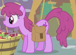 Size: 583x423 | Tagged: safe, derpibooru import, screencap, berry punch, berryshine, earth pony, pony, call of the cutie, season 1, apple, background pony, bag, berrybetes, cropped, cute, female, food, image, implied apple bloom, looking at someone, mare, png, saddle bag, solo, solo female, solo focus