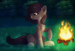 Size: 2500x1696 | Tagged: safe, artist:leah minik, derpibooru import, oc, oc:pelmeshka, unofficial characters only, earth pony, pony, bonfire, brown mane, brown tail, chest fluff, coat markings, commission, dumplings, ear fluff, eating, female, fire, food, forest, forest background, full body, grass, grass field, image, looking at something, mare, mouth hold, night, open mouth, pale belly, png, raised hoof, short mane, sitting, socks (coat marking), solo, spots, tail, tree
