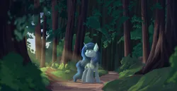 Size: 3713x1911 | Tagged: artist needed, source needed, safe, derpibooru import, oc, oc:snowfall night, unofficial characters only, pony, unicorn, crepuscular rays, female, forest, image, mare, path, png, solo, tree