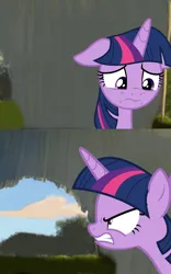 Size: 800x1280 | Tagged: safe, derpibooru import, twilight sparkle, twilight sparkle (alicorn), alicorn, image, meme template, png, template