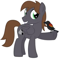 Size: 1200x1200 | Tagged: safe, artist:the smiling pony, derpibooru import, oc, oc:wingbeat, unofficial characters only, bird, pegasus, pony, derpibooru community collaboration, .svg available, 2023 community collab, blackbird, brown mane, brown tail, folded wings, full body, green eyes, grin, image, looking at you, male, pegasus oc, png, show accurate, simple background, smiling, smiling at you, solo, stallion, standing, tail, three quarter view, transparent background, vector, wings