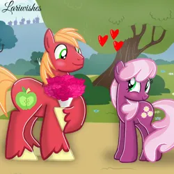 Size: 1300x1300 | Tagged: safe, artist:mlplary6, derpibooru import, big macintosh, cheerilee, earth pony, pony, blushing, bouquet, bouquet of flowers, cheerimac, female, flower, heart, image, looking at each other, looking at someone, male, mare, png, shipping, smiling, smiling at each other, stallion, straight