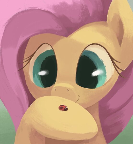 Size: 2096x2267 | Tagged: safe, artist:dotkwa, derpibooru import, fluttershy, insect, ladybug, pegasus, pony, bust, cute, female, image, jpeg, looking at something, mare, shyabetes, smiling, solo