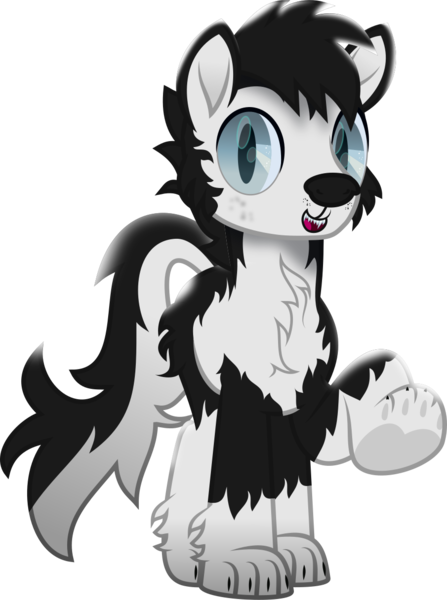 Size: 905x1216 | Tagged: safe, artist:lincolnbrewsterfan, derpibooru import, ponified, dog, dog pony, hengstwolf, husky, hybrid, original species, pony, werewolf, wolf, wolf pony, rainbow roadtrip, .svg available, :d, alternate universe, black and white, black and white tail, black mane, blake connors, blue eyes, bushy tail, chest fluff, chin fluff, claws, cute, cute little fangs, cute smile, dog nose, ear fluff, fanart, fangs, fur, grayscale, happy, highlights, hoof heart, image, leg fluff, looking at you, male, monochrome, movie accurate, muzzle, neck fluff, open mouth, open smile, paw pads, paw prints, pawkinesis, paws, png, race swap, shading, sharp teeth, simple background, slit pupils, smiling, smiling at you, solo, species swap, stallion, stallion oc, tail, teeth, transparent background, two toned tail, underhoof, vector, webkinz, youtube