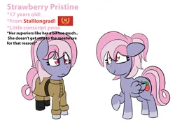 Size: 2100x1500 | Tagged: safe, artist:sapphireponipone, derpibooru import, oc, oc:strawberry pristine, pegasus, pony, equestria at war mod, clothes, female, flag, freckles, image, mare, pegasus oc, png, reference sheet, simple background, solo, stalliongrad, standing, uniform, white background, wings