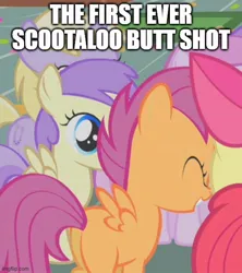 Size: 500x562 | Tagged: safe, derpibooru import, screencap, scootaloo, call of the cutie, image, jpeg