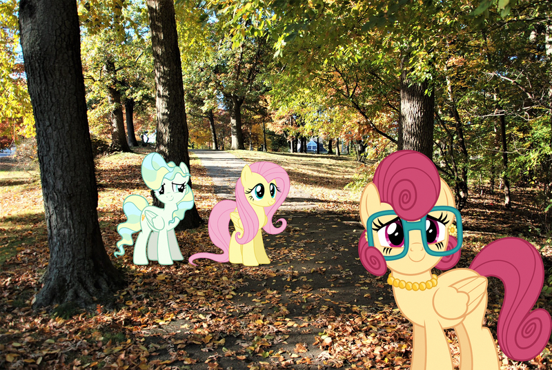 Size: 2048x1371 | Tagged: safe, derpibooru import, fluttershy, posey shy, vapor trail, pegasus, pony, female, folded wings, glasses, image, irl, jewelry, jpeg, mare, necklace, pearl necklace, photo, ponies in real life, providence, rhode island, story included, trio, wings