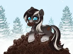Size: 2751x2040 | Tagged: safe, artist:confetticakez, derpibooru import, oc, oc:pine ponder, unofficial characters only, pony, taiga pony, image, pinecone, png, solo